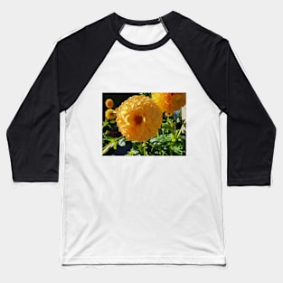 Golden Dahlias Baseball T-Shirt